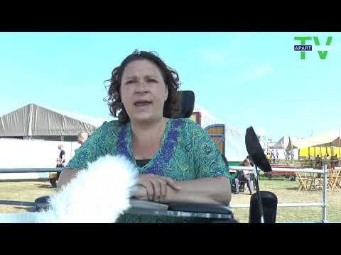 Video afspelen
