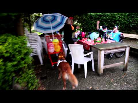 Video afspelen