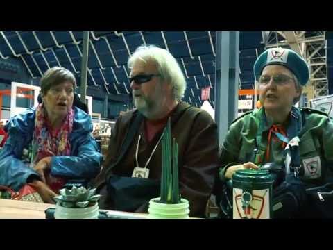 Video afspelen