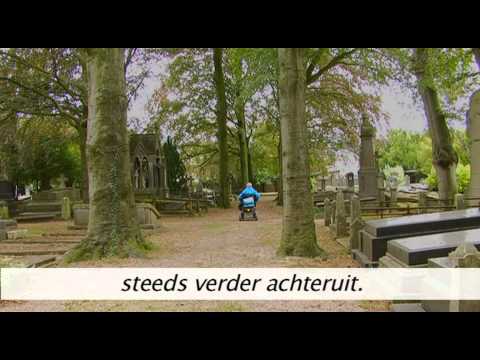Video afspelen