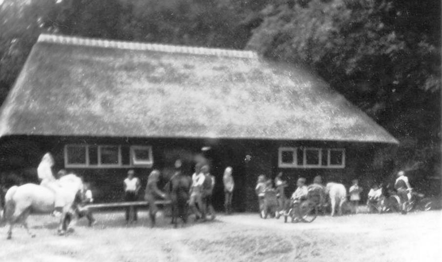 De kinderboerderij wazige foto van de kinderboerderij.
